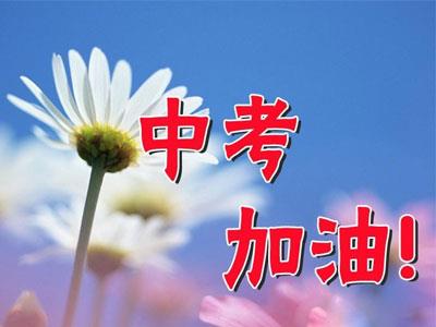 乐山九年级家教哪里找？